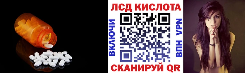 Купить закладки  Княгинино  Лсд 25 экстази кислота 